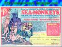 Sea Monkeys